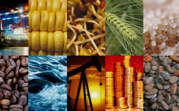 Main Agricultural Products: Coffee, corn, rice, potatoes, fruits y flowers, sugarcane.
Main Mined Products: Emeralds, coal, p