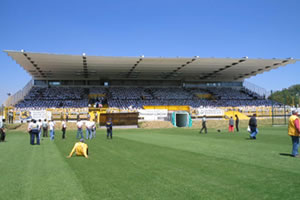 Estadio de Techo