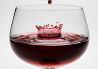 Vino