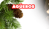 Ag&uuml;eros