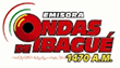 Ondas de Ibagu&eacute;