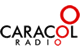 Caracol Radio