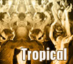 Tropical