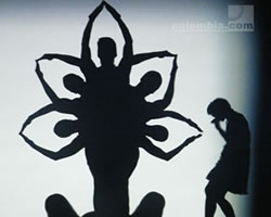 Obra Shadowland. Foto: Luz Helena Quiceno