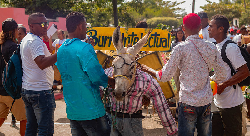 Feria Nacional del Burro en San Antero