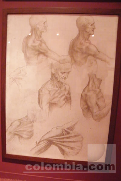 Da Vinci El genio - Foto: Luz Helena Quiceno