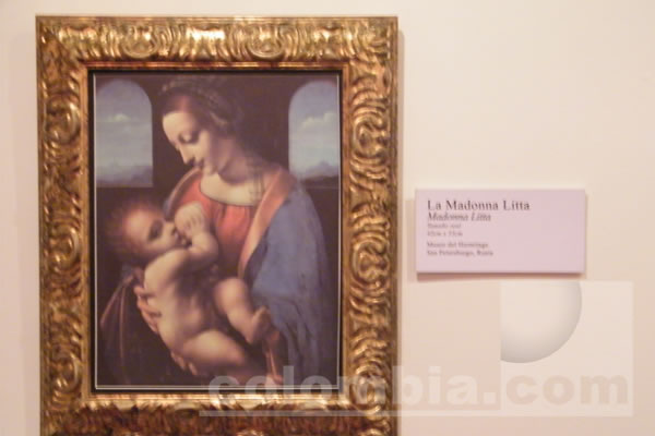 Da Vinci El genio - Foto: Luz Helena Quiceno