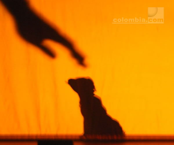 Shadowland, una obra de sombras. Foto: Luz Helena Quiceno