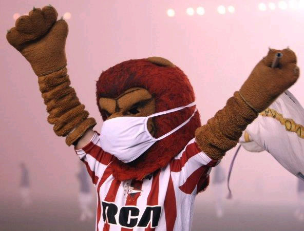 Estudiantes 0-0 Cruzeiro: Primer juego de la final en La Libertadortes - Foto: EFE