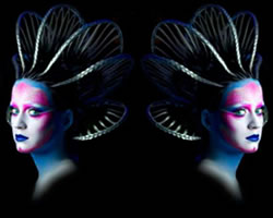 Katy Perry Katy Perry