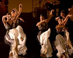 Festival de Flamenco en Bogotá Festival de Flamenco en Bogotá